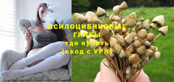 дурь Абдулино