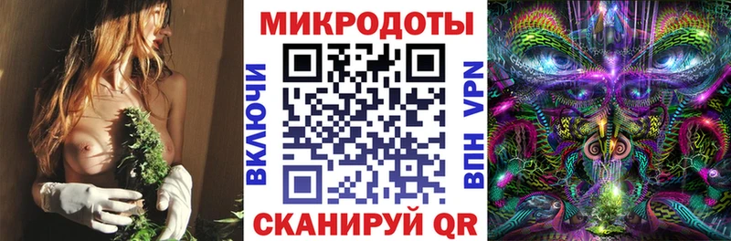 Галлюциногенные грибы мицелий мега рабочий сайт Гагарин