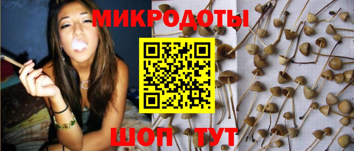 Галлюциногенные грибы мухоморы  купить наркотик  Гагарин  Вход с VPN 