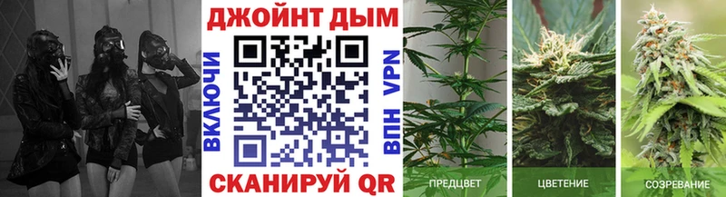 hydra сайт  Гагарин  Канабис Ganja 